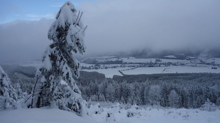 Před víkendem se ochladí a znovu nasněží. Příští týden bude až 13 stupňů