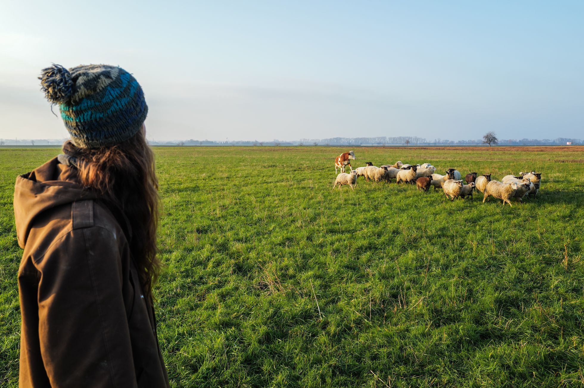 marek slovacek, mezi poli