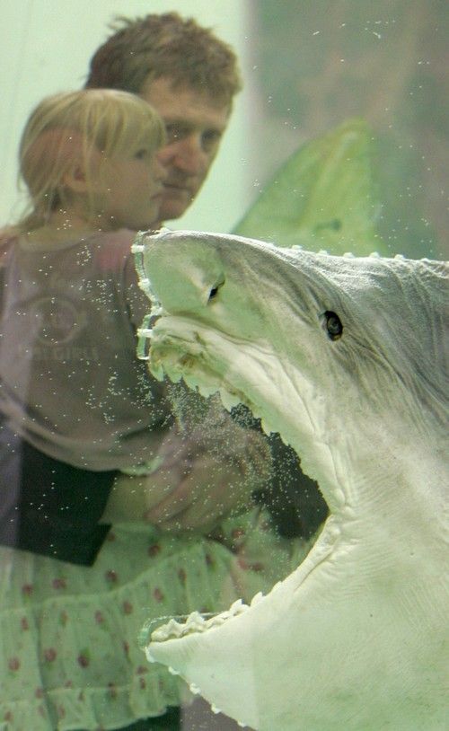 Výstava Damiena Hirsta v Londýně