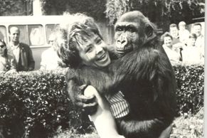 Obrazem: Pražská zoo slaví 85 let. Lachtany jí daroval Burian, první zvířata žila ve vile ředitele