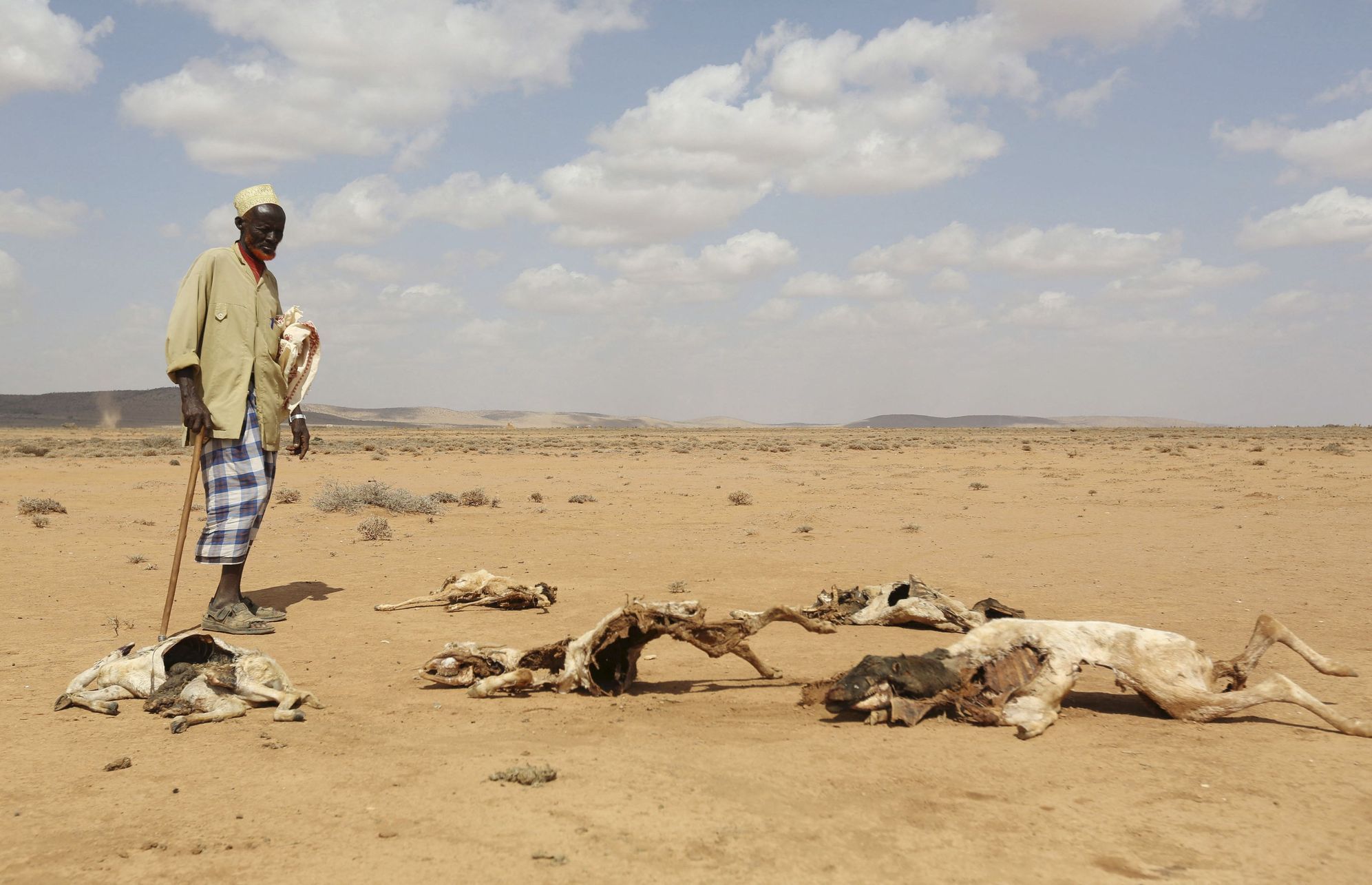 Somálec s uhynulými zvířaty na severu země.
