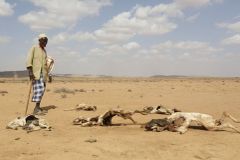 Před propastí. Sucho a válka na Ukrajině vracejí Somálsko do dob nejhoršího hladomoru