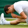Grigor Dimitrov na Wimbledonu 2013