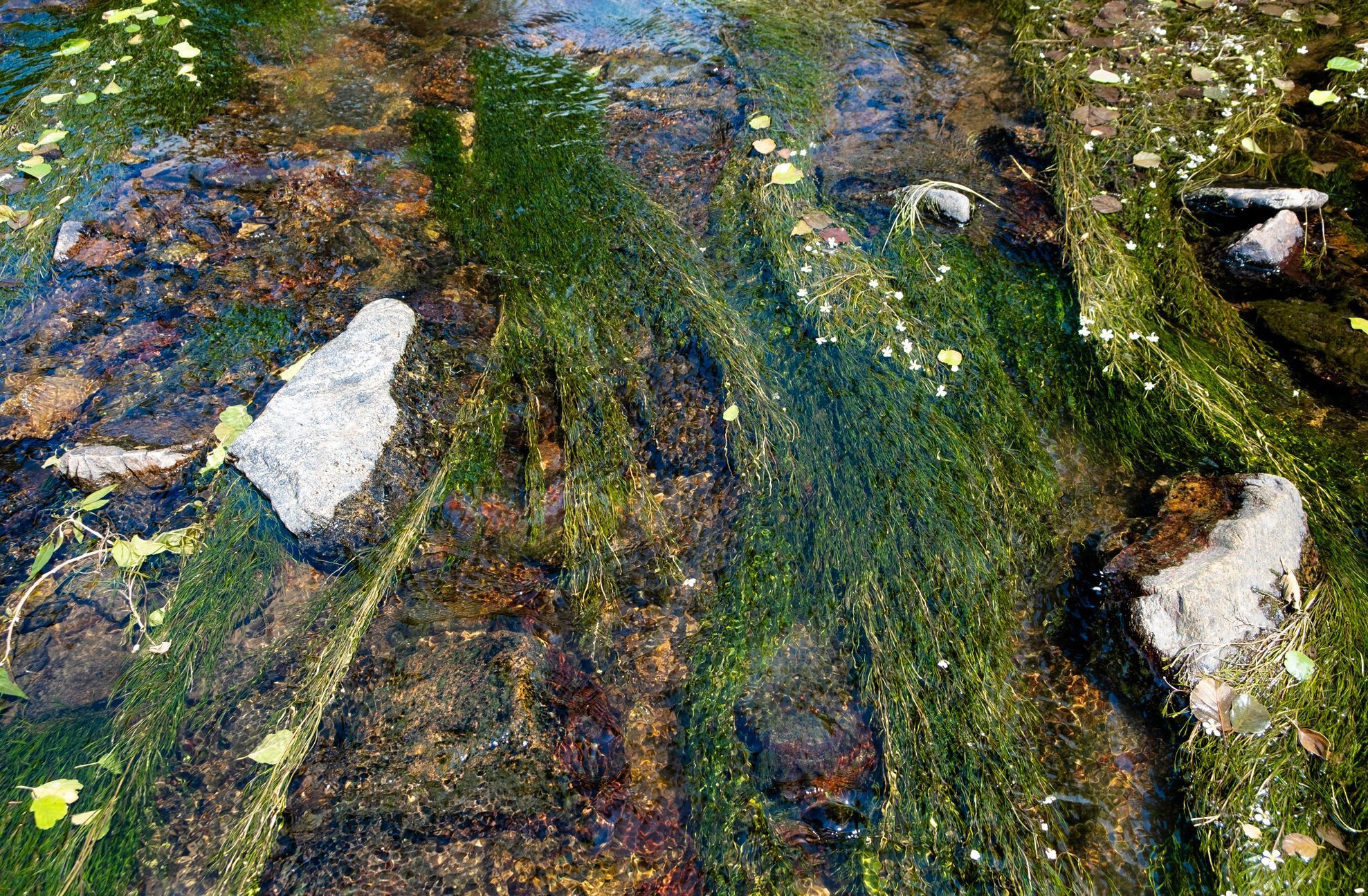 Údolí řeky Bobrovky