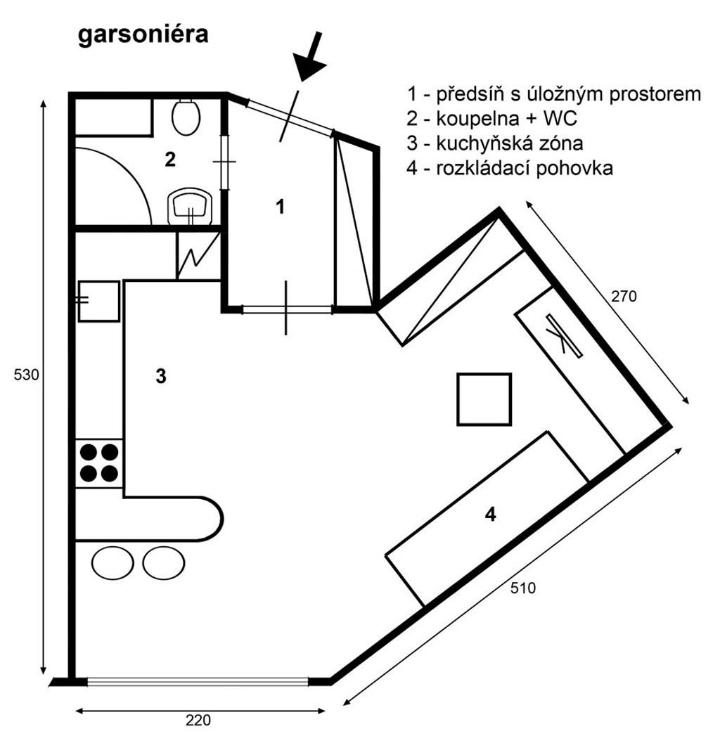 Single v nájmu