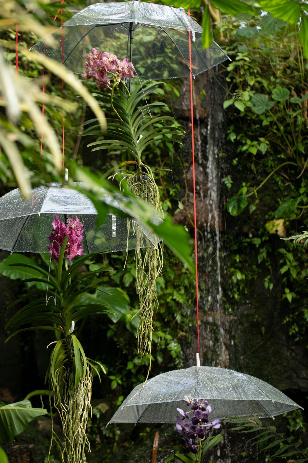 Botanická zahrada, fata morgana