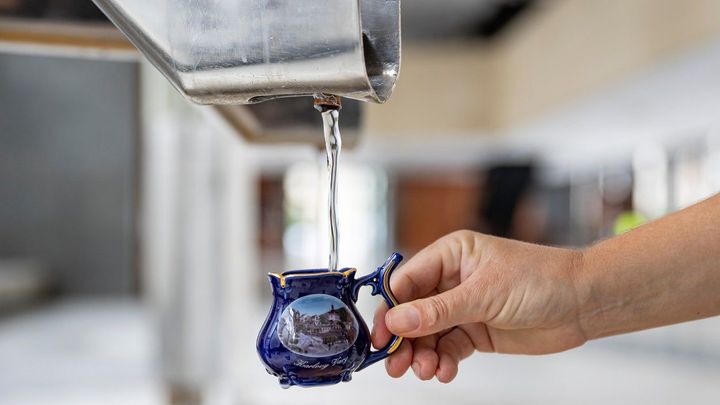 Každého desátého trápí ledviny. Silné minerálky se sodíkem nepijte, radí lidem lékař