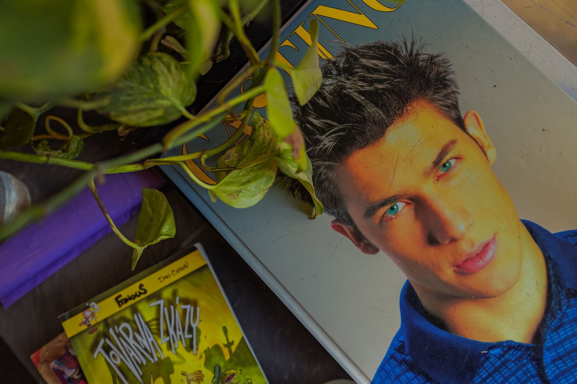 kabinet holicu, tom holic