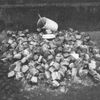Jednorázové užití / Fotogalerie: Před 50. lety se upálil Jan Palach / Archivní fotografie a dokumenty / Archiv bezpečnostních složek
