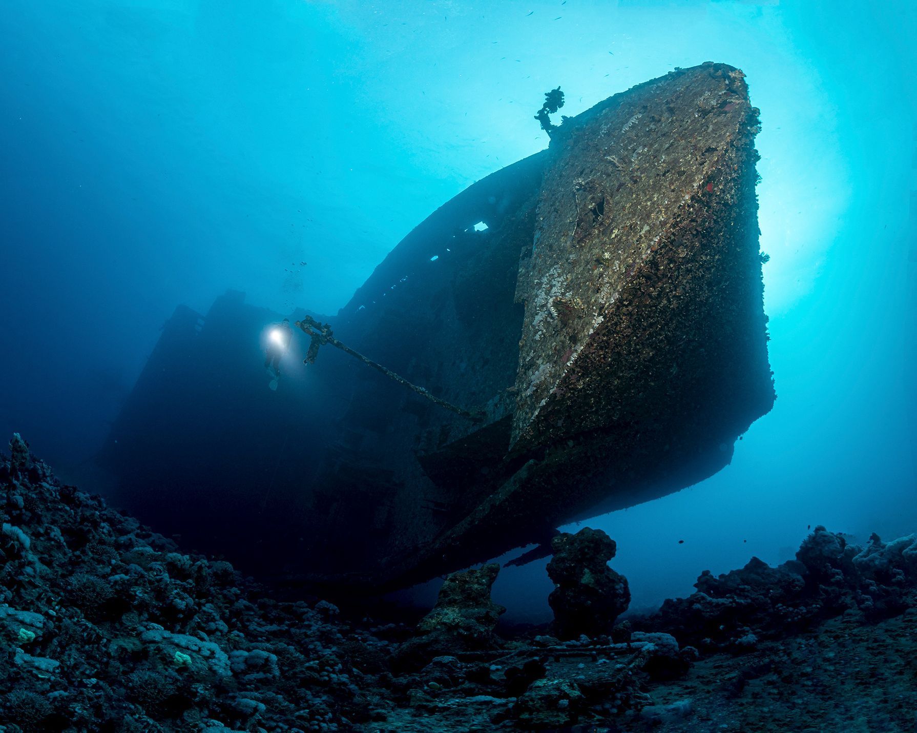 Vítězné fotografie ze soutěže Underwater Photographer of the Year 2023