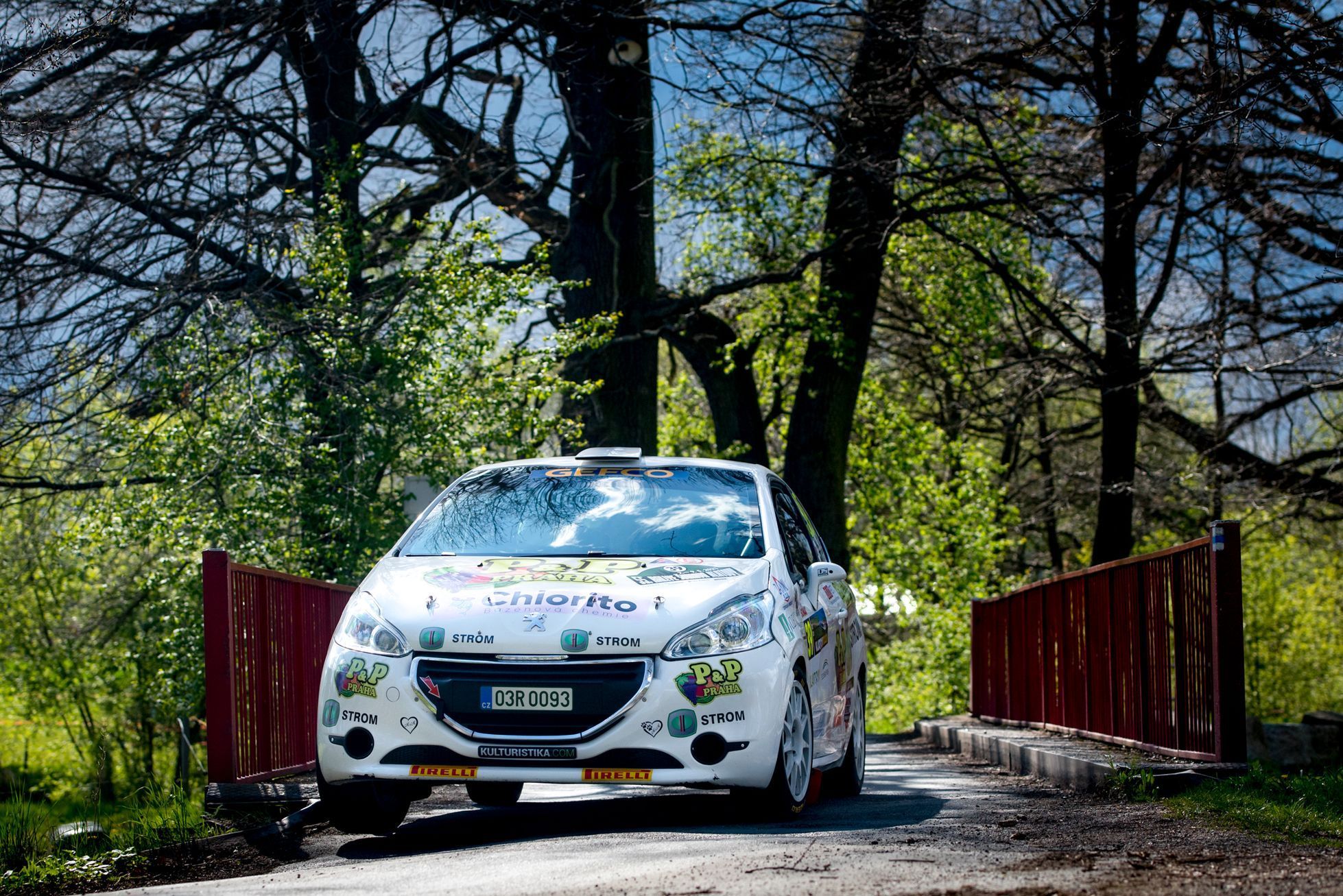 Rallye Šumava Klatovy 2021, Peugeot Rallye Cup: David Soldát, Peugeot 208 R2