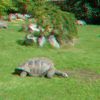 ZOO 3D