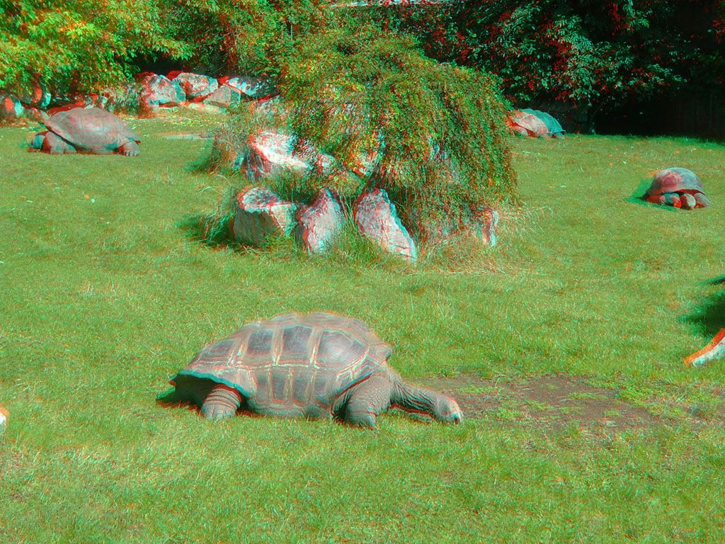ZOO 3D