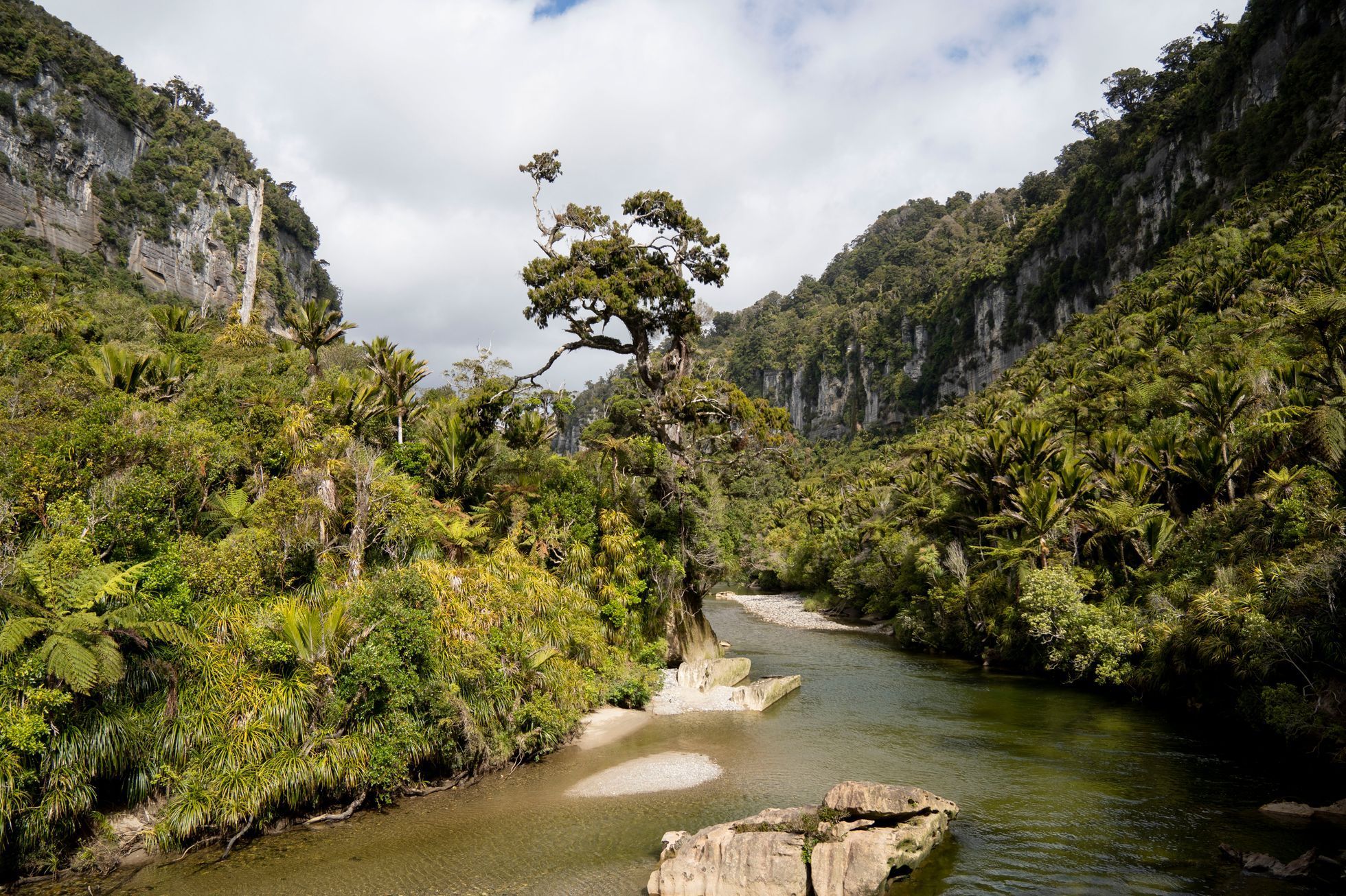 nový zéland cestování