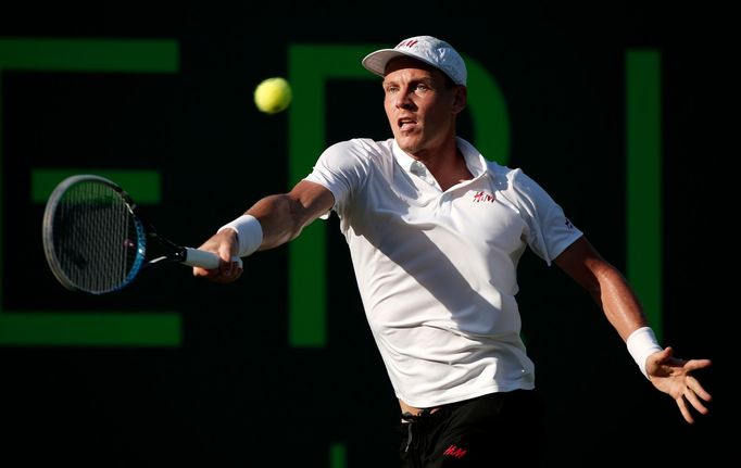 Tenista Tomáš Berdych na turnaji Masters v Miami