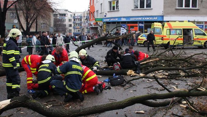 V lednu 2009 zabil padající strom ve Zlíně dvě děti