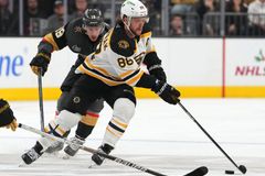 Pastrňák nabil kapitánovi, Zacha se blýskl nádhernou žabkou a Boston má další výhru