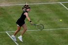Z Muchové je na trávě tenisový úkaz. Internetem koluje vtípek o ní a Federerovi