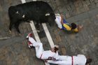 Vůbec poprvé v rámci letošních oslav svatého Fermína nabral býk na rohy tři z běžců.