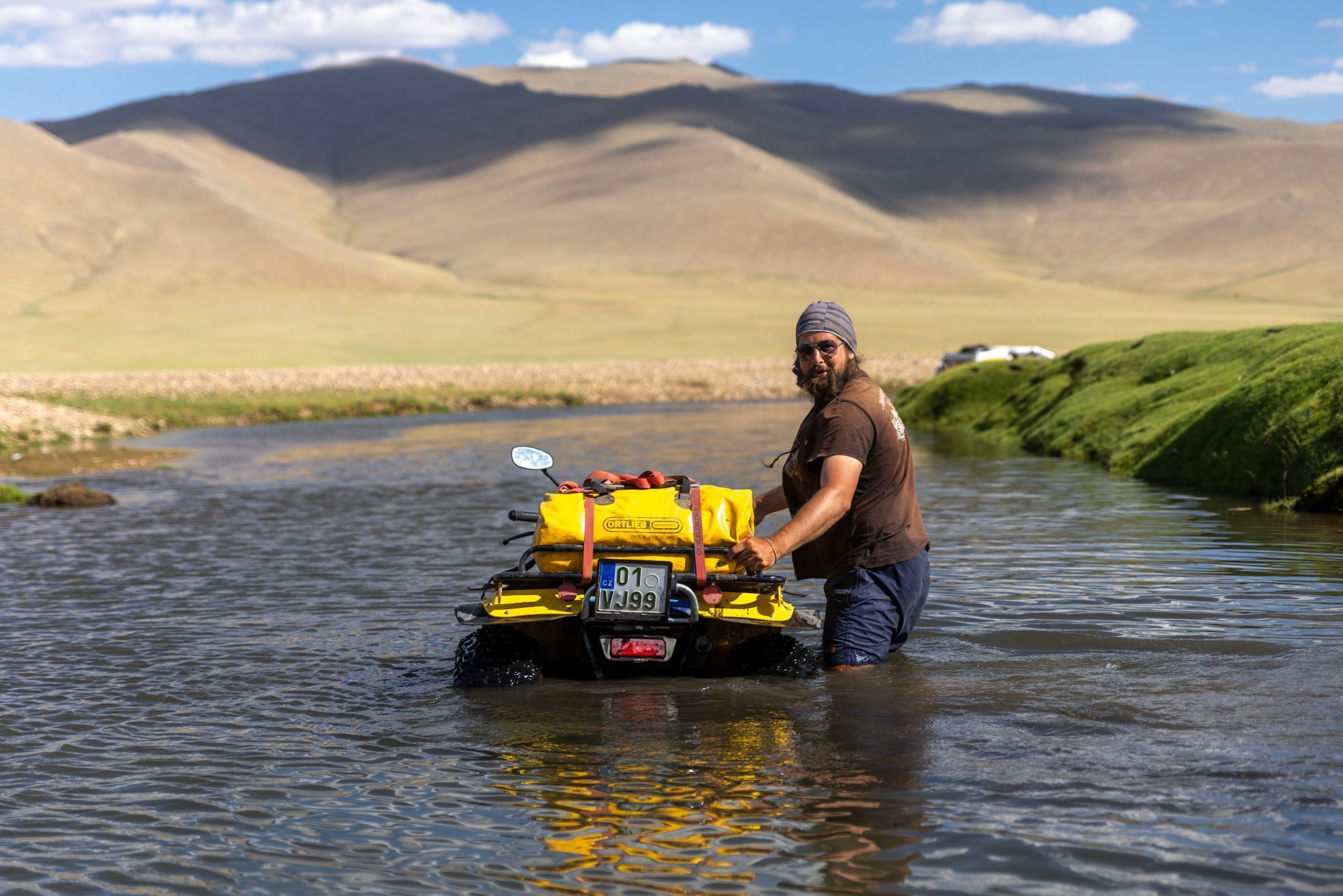 Žlutá žába pluje