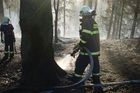 V národním parku České Švýcarsko hoří 15 arů lesa