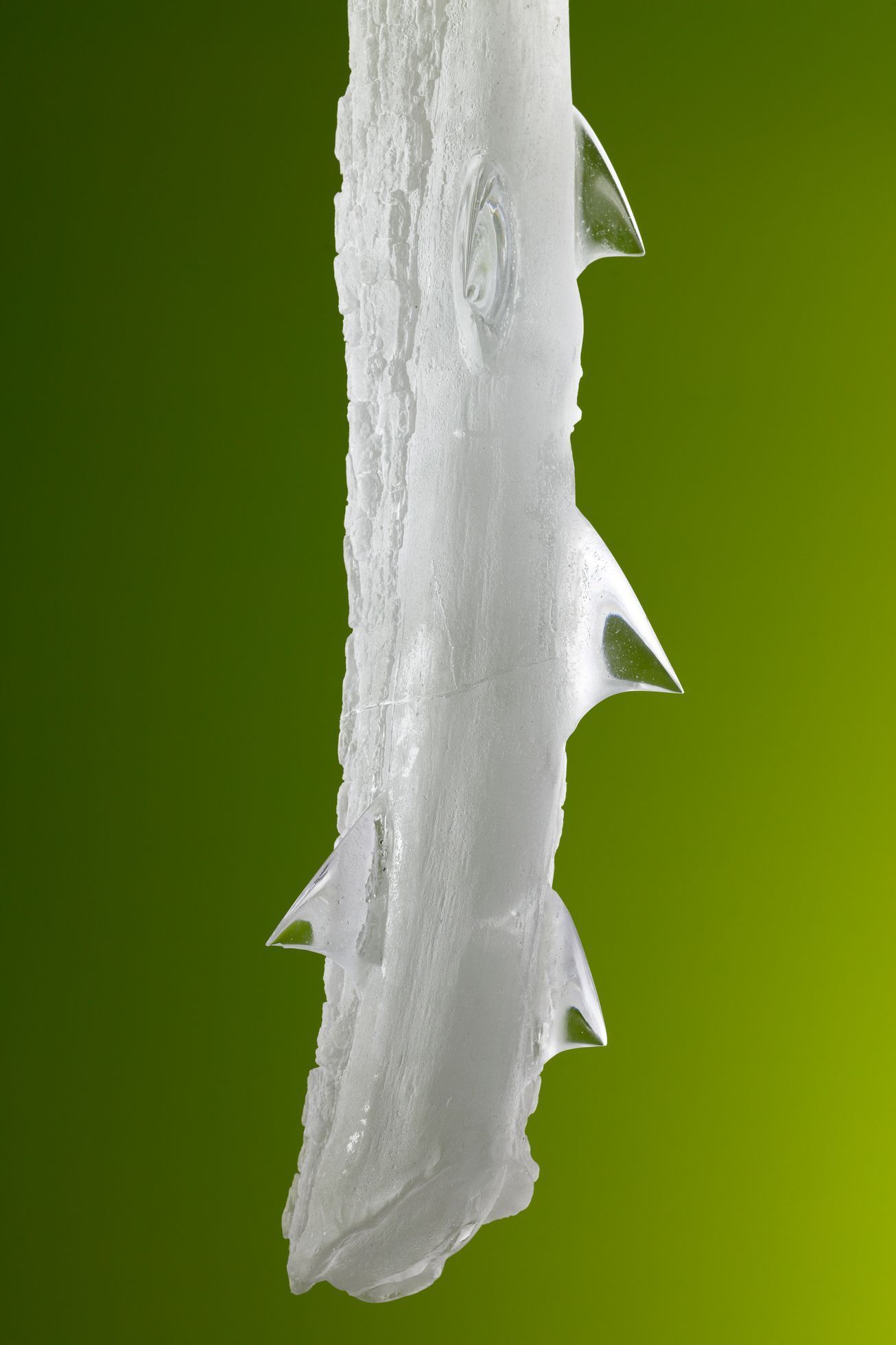 Rony Plesl: Stromy rostou z nebe, Museum Kampa, 2023