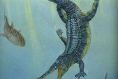 Vědci objevili na Sahaře kosti prastarých krokodýlů