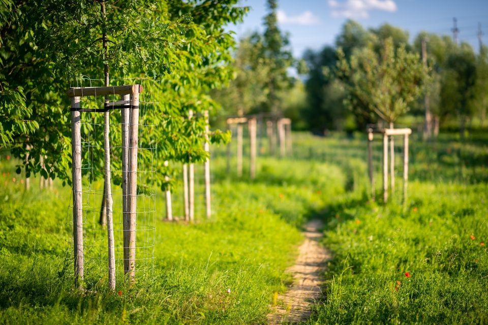 Adapterra Awards - Lubor Křížek - Přírodní park Škrlovec