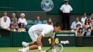 Novak Djokovič na Wimbledonu 2014