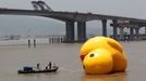 WENZHOU, CHINA - JULY 01: (CHINA OUT) People set up a scaled replica of the rubber duck, originally created by Dutch conceptual artist Florentijn Hofman, on a river on July 1, 2013 in Wenzhou, Zhejiang province of China.