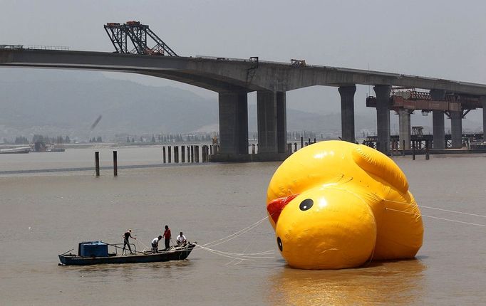 WENZHOU, CHINA - JULY 01: (CHINA OUT) People set up a scaled replica of the rubber duck, originally created by Dutch conceptual artist Florentijn Hofman, on a river on July 1, 2013 in Wenzhou, Zhejiang province of China.