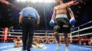 boxerské knockouty roku 2013 (Lucas Martin Matthysse vs. Lamont Peterson)