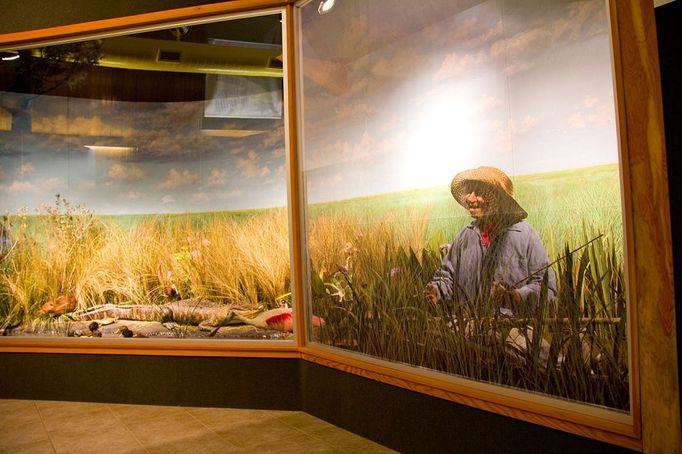 "Aunt Marie," Cameron Prairie National Wildlife Refuge Visitor Center, near Lake Charles, LA, USA A clever and quite sophisticated diorama at the Cameron Prairie National Wildlife Refuge Visitor Center features old Cajun "Aunt Marie," who tells visitors about life in the Louisiana bayous, near Lake Charles, LA, USA., Property Release: No or not aplicable, Model Release: No or not aplicable, Credit line: Profimedia.cz, Alamy