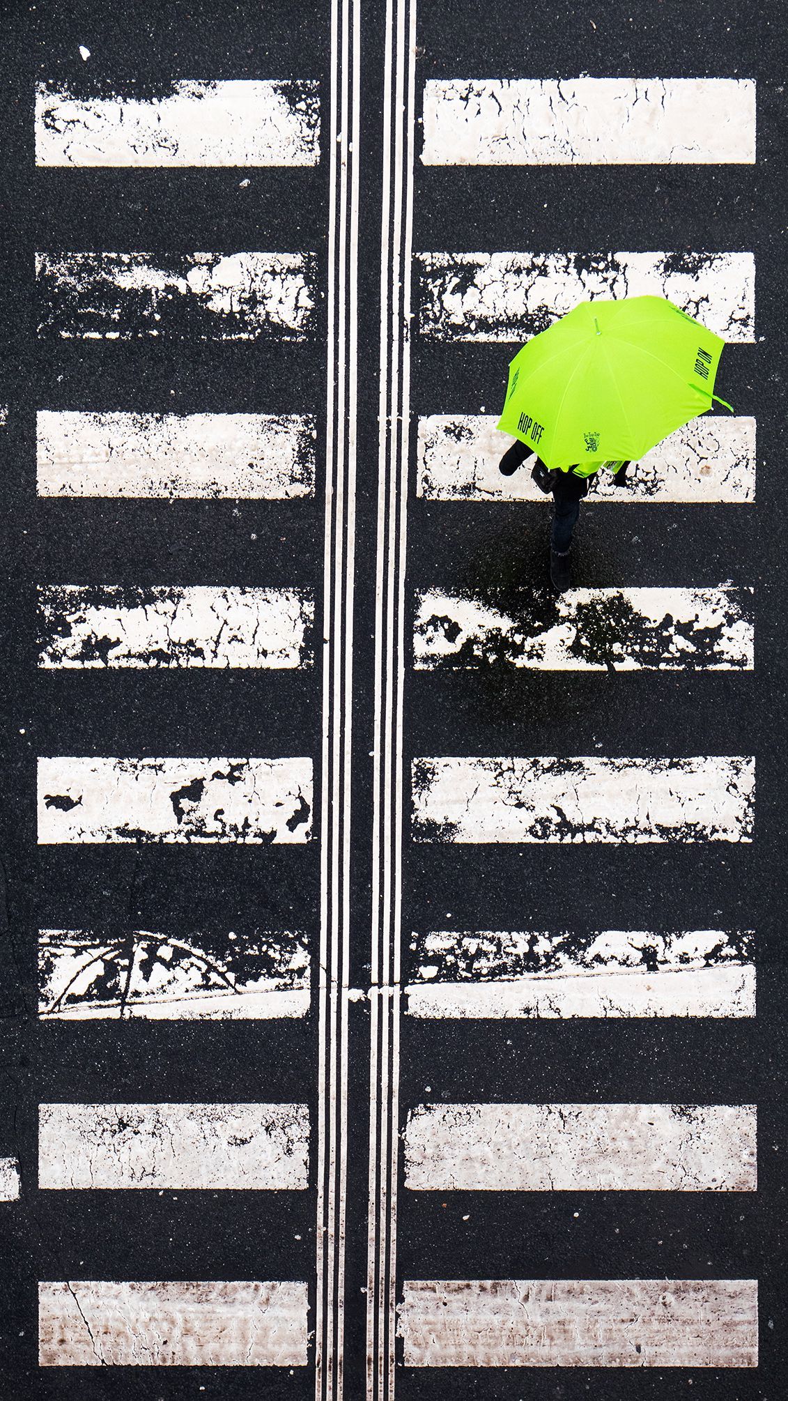 Tomáš Vocelka: Praha pod věžemi (když prší)