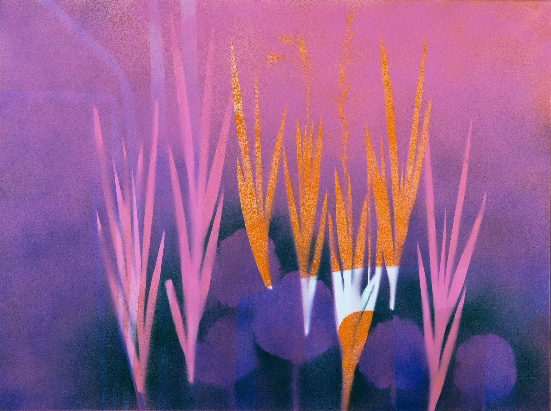 Zdena Šafka, Galerie Villa Pellé, 2023