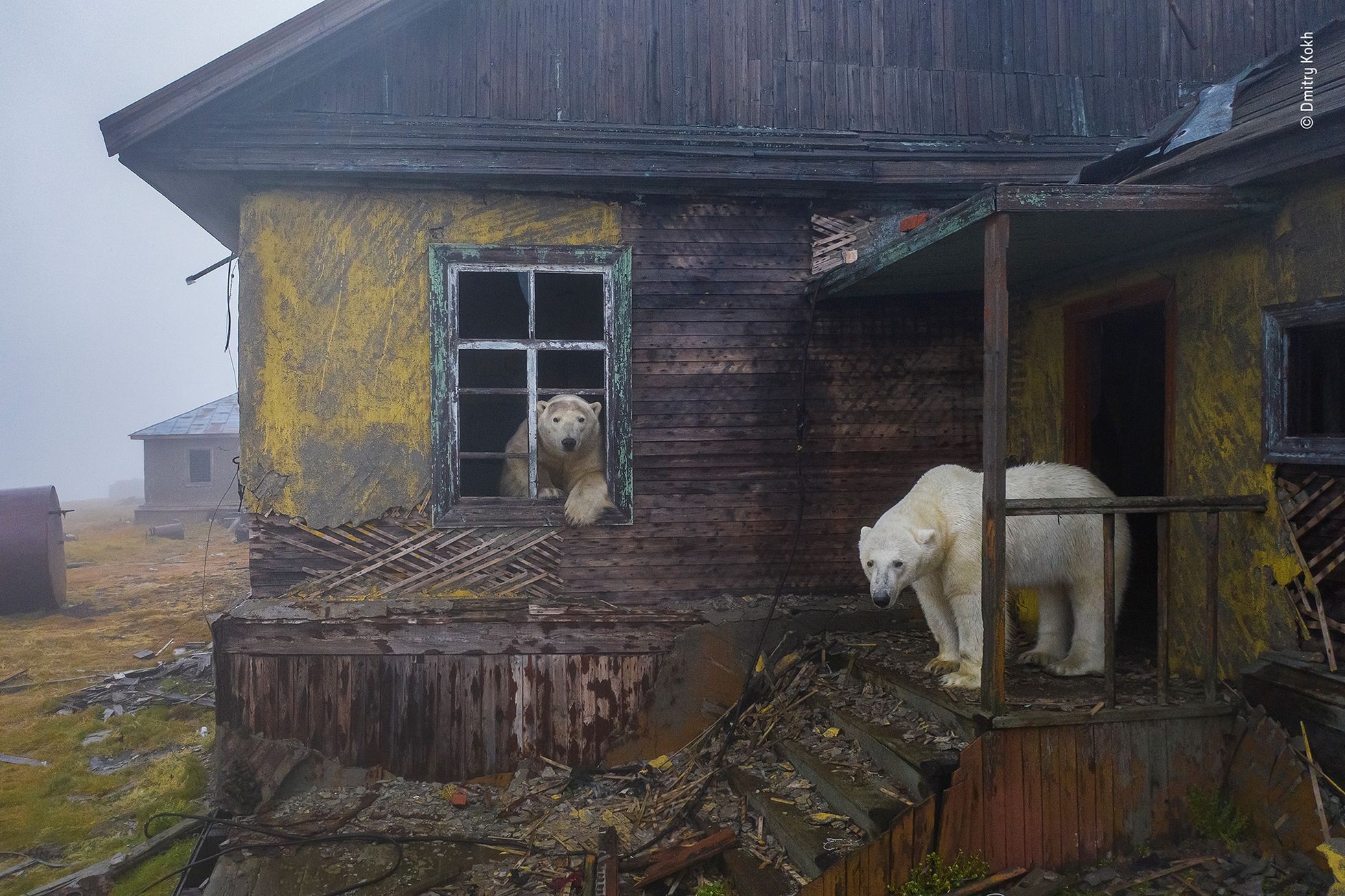 Vítězné snímky ze soutěže Wildlife Photographer of the Year 2022