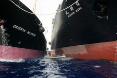 Japonsko vydalo zatykač na odpůrce lovu velryb