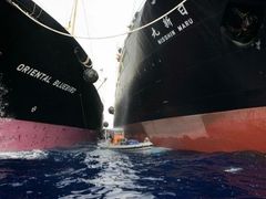 Loď Greenpeace proti velrybaření je v kleštích.