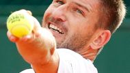 Jan Hájek (98. místo) - Zvláštní případ v českém tenisu. Hájek se totiž téměř neúčastní travnatých turnajů. Včetně Wimbledonu. Proto je jeho maximem 1. kolo z roku 2007, letos se v prvním kole utká s Nicolasem Mahutem.