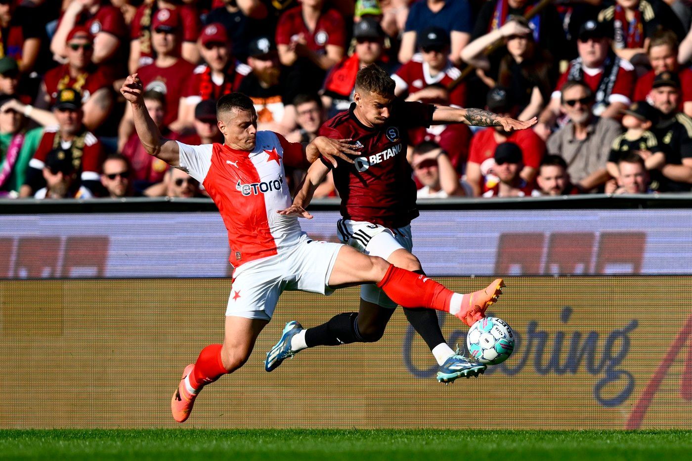 Sparta - Slavia