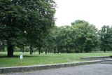 Pomník by měl stát v parku na Letné, kde král popu odehrál co do počtu návštěvníků největší koncert.