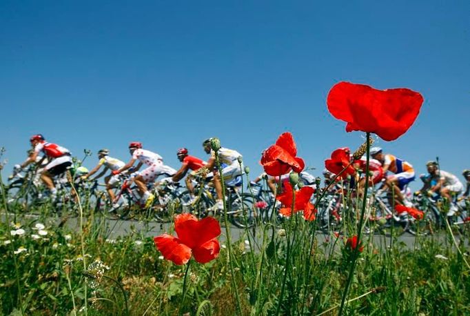 Květiny a za nimi cyklisté