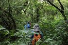 Vědci a výzkumníci z nevládního centra s názvem Dr. Cecilia Koo Botanic Conservation Center na ostrově Tchaj-wan tráví hodně času v přírodě. "Ne každý se dostane na místa, kam chodím. V divočině dokážu zůstat dlouhou dobu, ať už v horách, nebo v lese," popisuje svou pracovní rutinu agentuře Reuters Hung Hsin-chien, jeden z výzkumníků.