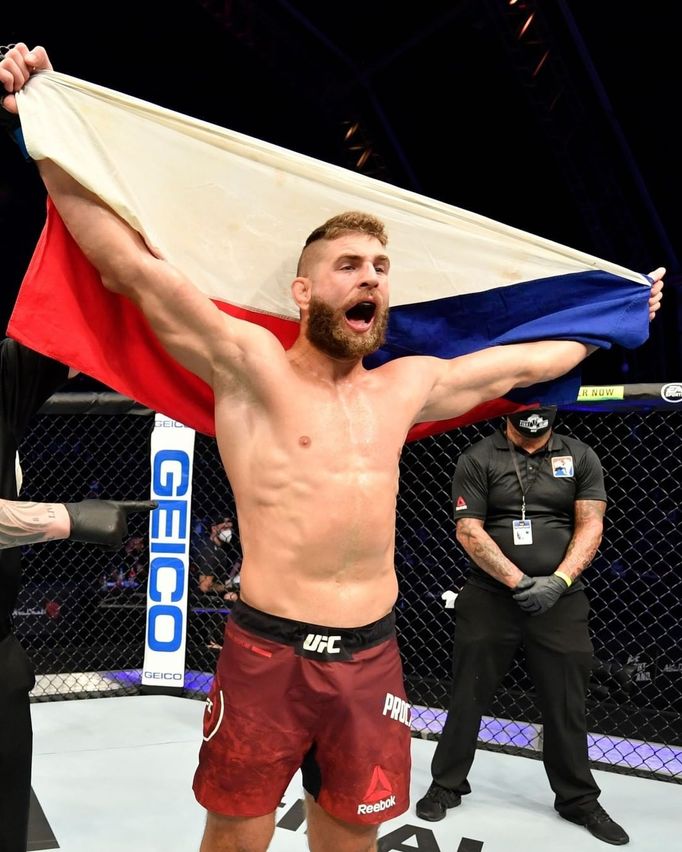 Jiří Procházka, UFC