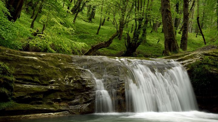 Prastaré lesy v plamenech. Íránská památka v UNESCO zápasí s ničivým požárem; Zdroj foto: Mehdi.kaviani.far/Wikimedia Commons