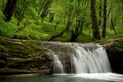 Prastaré lesy v plamenech. Íránská památka v UNESCO zápasí s ničivým požárem