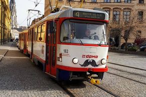 Ulice brázdí "kníraté" tramvaje a autobusy, šíří osvětu o prevenci rakoviny prostaty