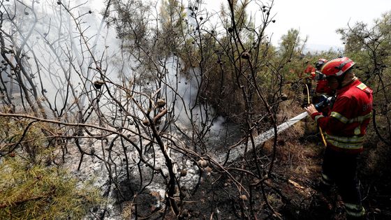 Hasiči bojují s rozsáhlým lesním požárem ve středním Portugalsku, 21.07.2019