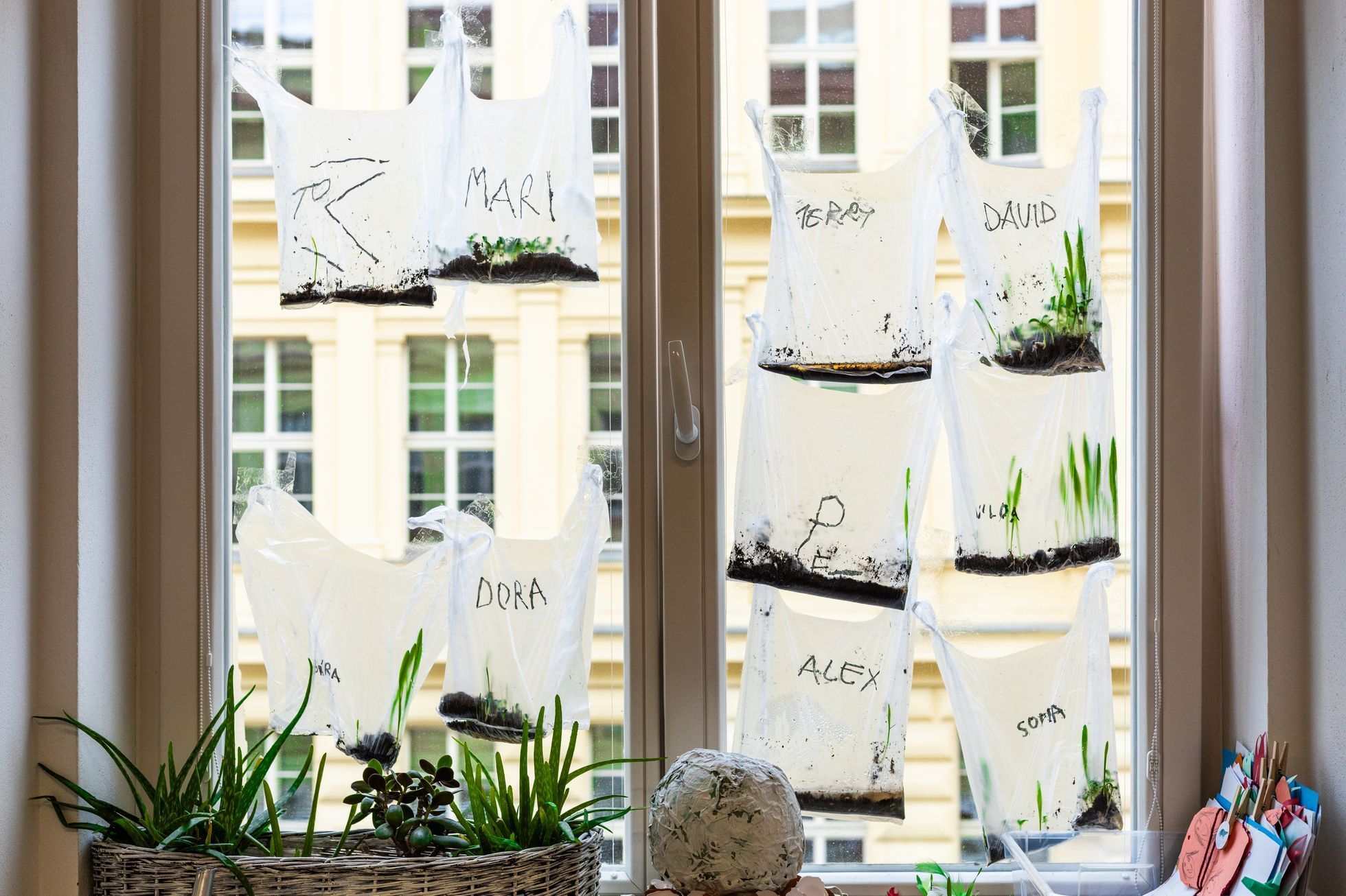 učitel, Karlín, mateřská školka, školka