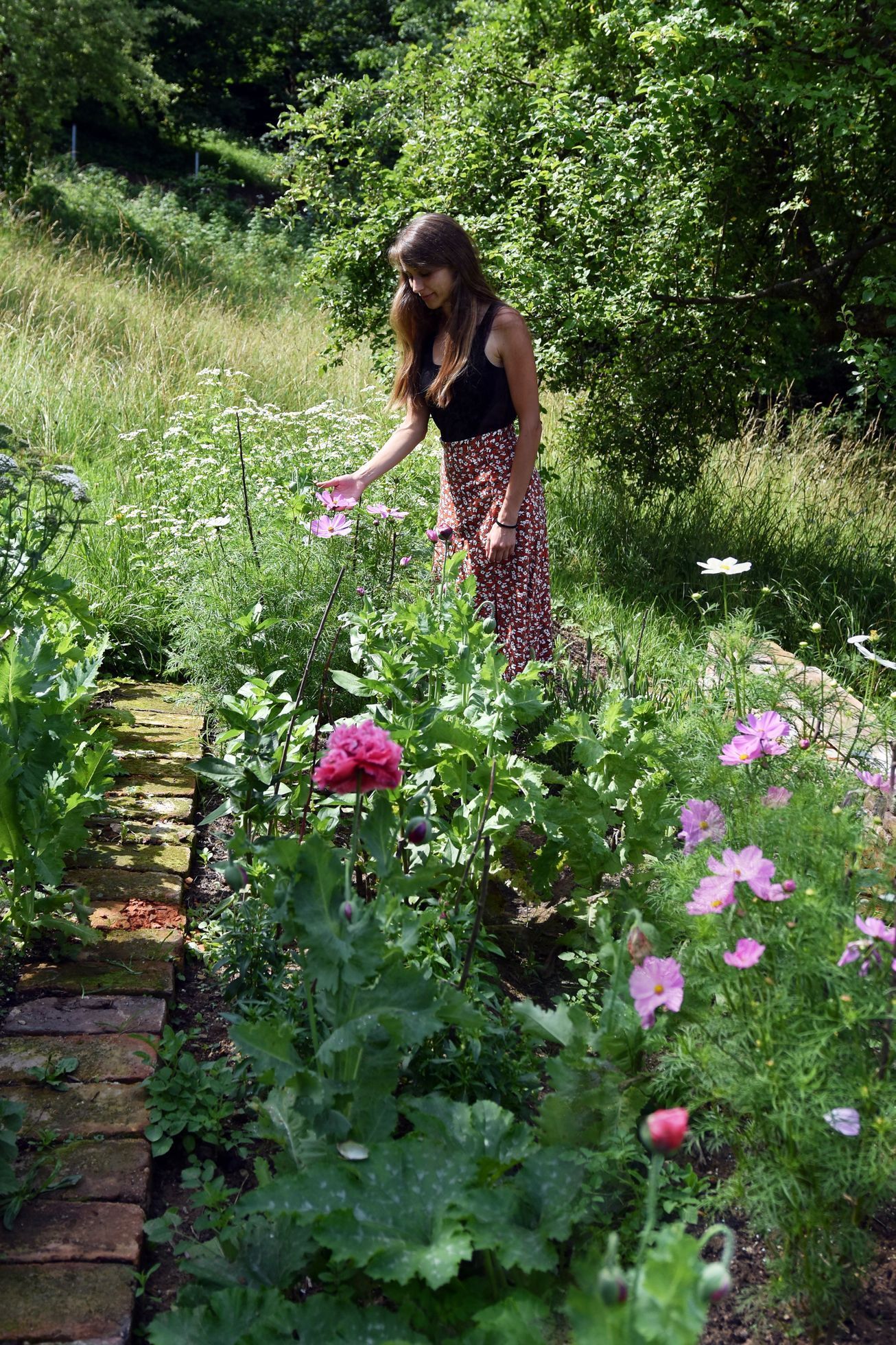 domeček na kopci, dům, rekonstrukce, zahrada, příběh